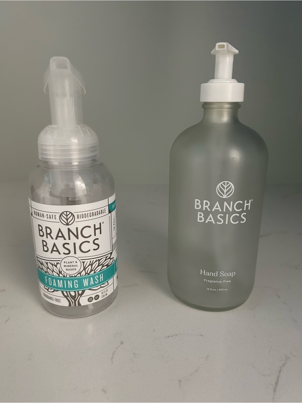 Foaming Wash & Hand Soap Set - Clear & Frosted Gray